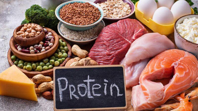Các nghiên cứu cho thấy protein có thể giúp giảm buồn nôn bằng cách tăng hormone gastrin