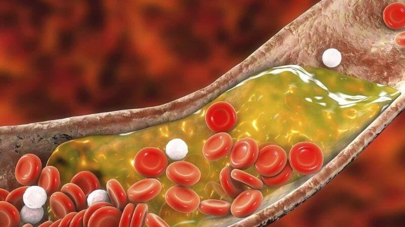 Việc ăn cá thu trong vòng hai tuần giúp giảm triglyceride và tổng lượng cholesterol trong máu