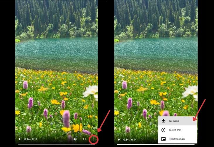 Bước 4: Chọn Tải xuống để tải Video về máy