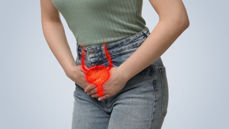 Rễ cây đinh lăng giúp bạn đi tiểu dễ dàng hơn