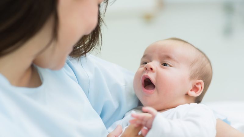 Canh đinh lăng nấu với thịt giúp mẹ hồi phục sức khỏe sau sinh một nhanh chóng