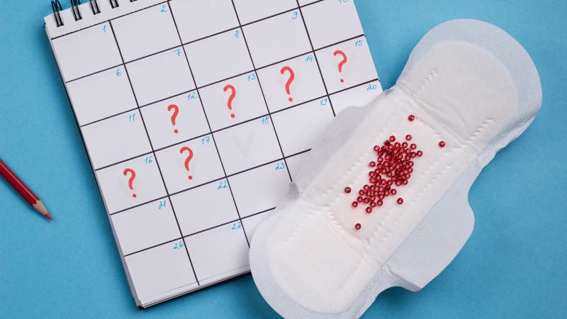 Đinh lăng giúp điều hòa kinh nguyệt cũng như giảm đau bụng kinh hiệu quả