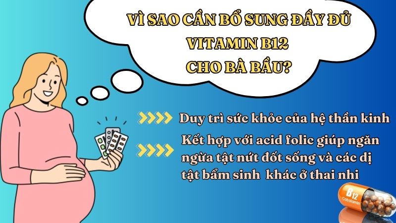 Vitamin B12 là một dưỡng chất quan trọng đối với sức khỏe của hệ thần kinh, giúp duy trì chức năng thần kinh bình thường và sự phát triển của các tế bào máu