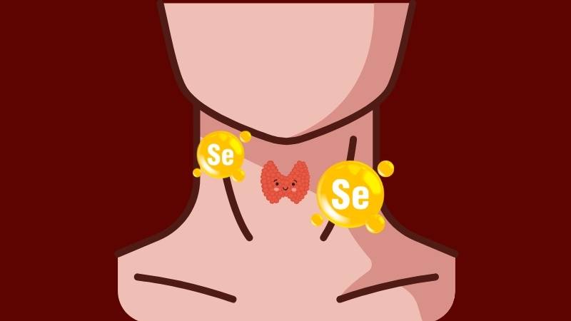 Hạt mè đen cung cấp một lượng selen đáng kể để hỗ trợ tuyến giáp