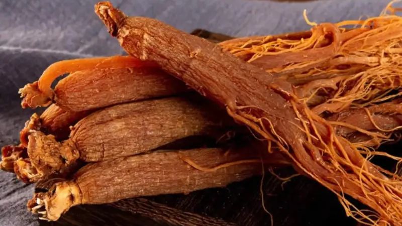 Có nhiều tương tác xảy ra giữa hồng sâm và các loại thuốc tổng hợp hóa học 