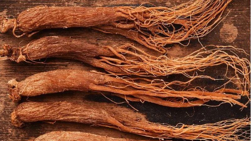 Hồng sâm giúp giảm mỡ trong máu, kiểm soát nồng độ cholesterol và triglyceride