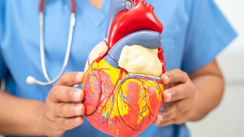 Trà atiso giúp giảm các bệnh tim mạch