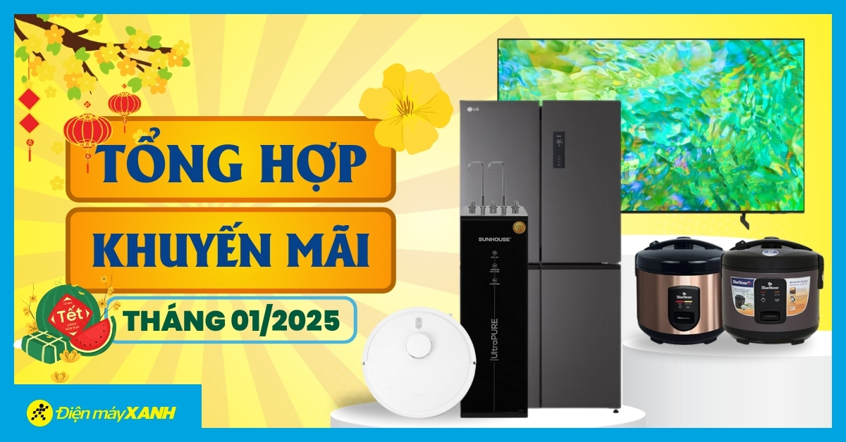 Tổng Hợp Khuyến Mãi Tháng 01/2025 Tại Điện Máy Xanh