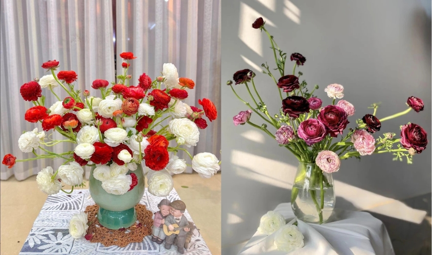 Mẫu cắm hoa Mao Lương bình thấp mix nhiều màu