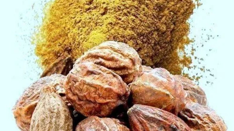 Kha tử có khả năng chống oxy hóa, chống viêm và ngăn ngừa tổn thương tế bào thận