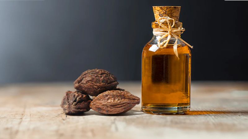 Kha tử chứa nhiều hoạt chất có khả năng chống oxy hóa mạnh