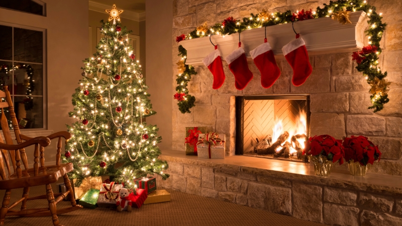 Cây thông Noel Cây thông Noel