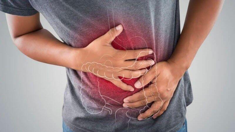 Lá dung được biết đến với khả năng cải thiện tiêu hóa và giảm các triệu chứng khó chịu liên quan đến hệ tiêu hóa Lá dung được biết đến với khả năng cải thiện tiêu hóa và giảm các triệu chứng khó chịu liên quan đến hệ tiêu hóa
