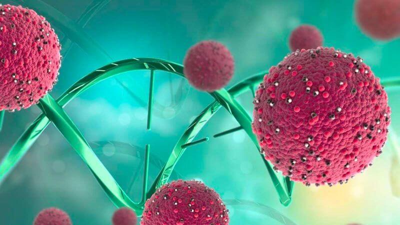 Lá dung chứa nhiều hợp chất sinh học như symplocoside, quercetin và betulinic acid có tác dụng chống oxy hóa Lá dung chứa nhiều hợp chất sinh học như symplocoside, quercetin và betulinic acid có tác dụng chống oxy hóa