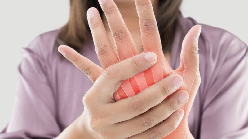 Cây dung hỗ trợ điều trị viêm khớp Cây dung hỗ trợ điều trị viêm khớp