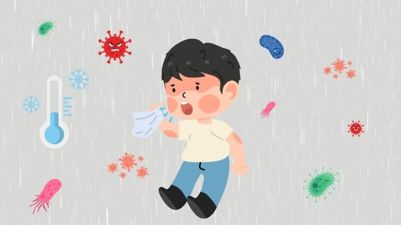 Với đặc tính chống viêm, kháng sinh và chống hen suyễn, S. racemosa được xem là phương thuốc hiệu quả trong việc hỗ trợ điều trị các vấn đề hô hấp như cảm lạnh, đau họng, ho... Với đặc tính chống viêm, kháng sinh và chống hen suyễn, S. racemosa được xem là phương thuốc hiệu quả trong việc hỗ trợ điều trị các vấn đề hô hấp như cảm lạnh, đau họng, ho...