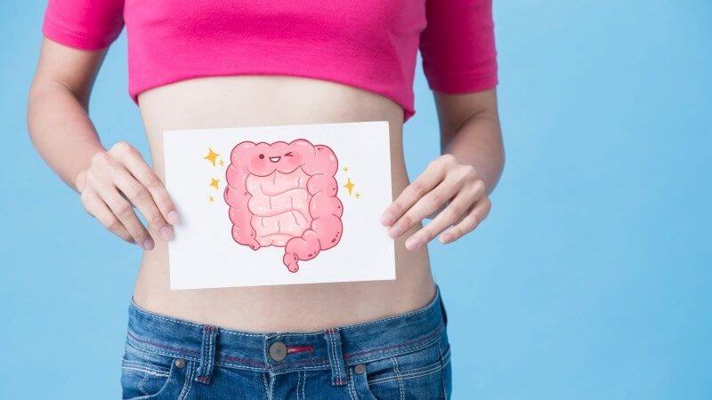 Thanh long chứa prebiotic, loại chất xơ đặc biệt hỗ trợ sự phát triển của vi khuẩn có lợi trong ruột