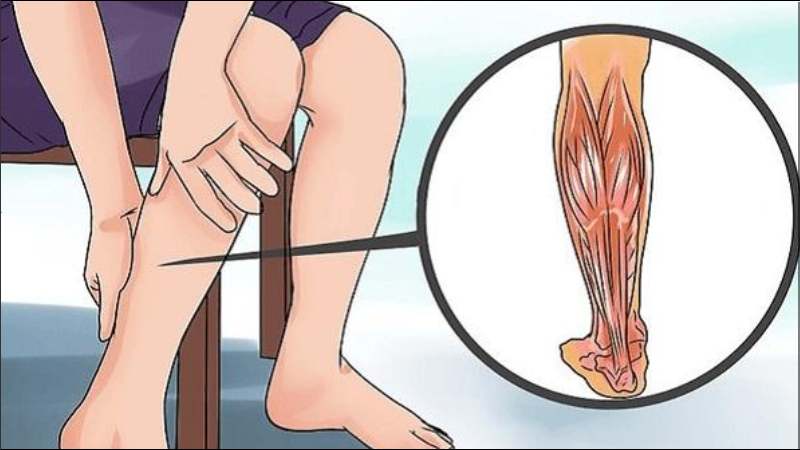 Chiết xuất của cây cỏ sữa lá nhỏ có tác dụng làm giảm và ngăn ngừa cơn co thắt cơ