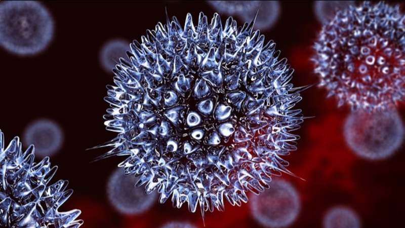 Cây cỏ sữa lá nhỏ làm giảm khả năng lây nhiễm của virus herpes HSV-2 
