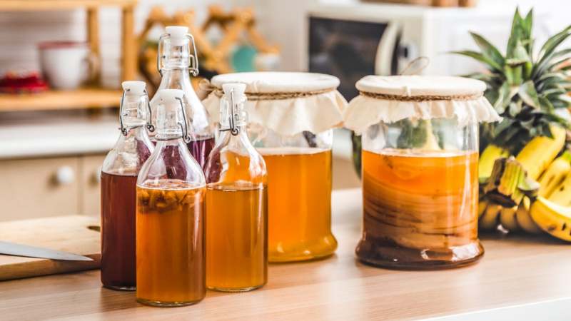 Kombucha an toàn cho hầu hết mọi người khi uống ở mức độ vừa phải