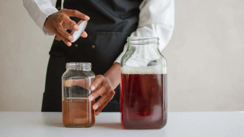Dùng kombucha khi đói bụng giúp tăng cường tác dụng giải độc