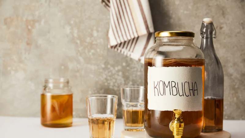 Trà kombucha rất giàu dinh dưỡng cần thiết cho cơ thể