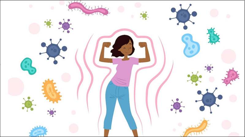 Kombucha chứa nhiều vitamin B giúp duy trì hệ thống miễn dịch hoạt động tốt