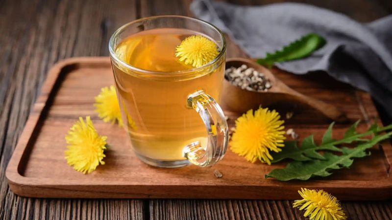 Trà bồ công anh có khả năng điều chỉnh lượng đường huyết duy trì ổn định 