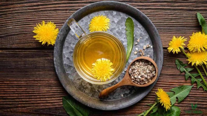 Trà bồ công anh có tác dụng làm tăng lượng nước tiểu