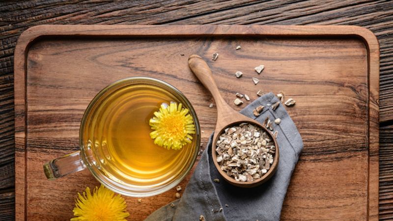Trà bồ công anh chứa nhiều hợp chất chống oxy hóa mạnh