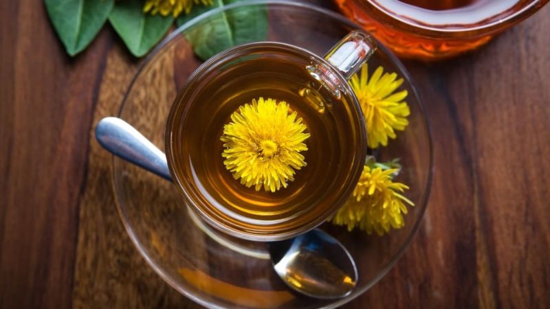 Uống trà bồ công anh giúp làm dịu các triệu chứng viêm