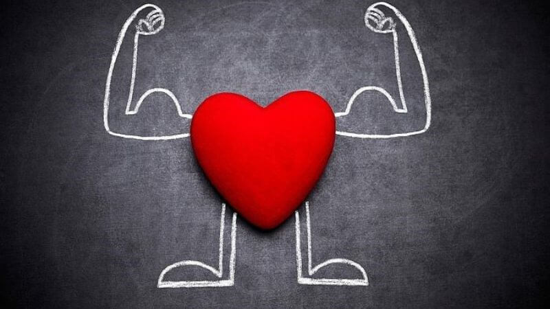 Lá dâu tằm được cho là có tác động tích cực tới tim mạch nhờ khả năng làm giảm cholesterol máu, hạ huyết áp,...