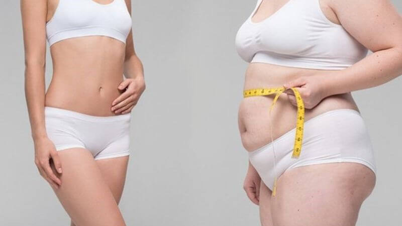 Lá dâu tằm không chỉ giúp kiểm soát mỡ máu mà còn ngăn ngừa tích tụ mỡ trong cơ thể