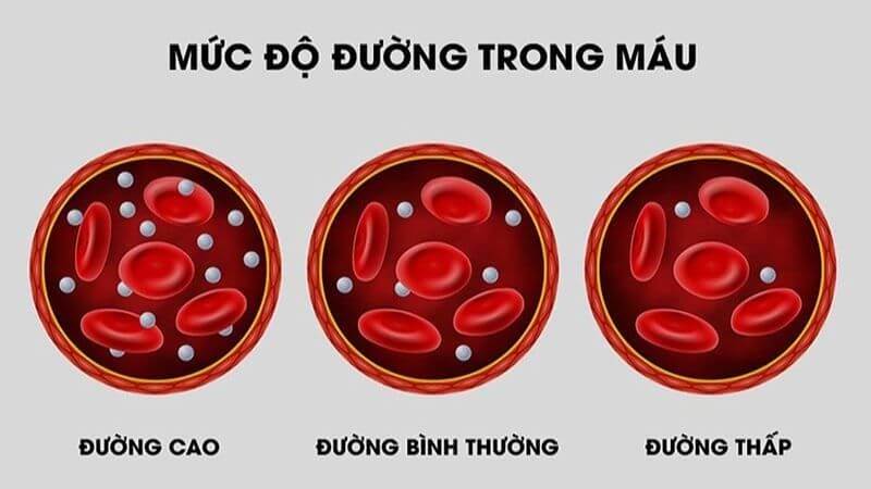 Một số nghiên cứu cho thấy gel và nước ép lô hội có thể làm giảm lượng đường trong máu ở người mắc tiền tiểu đường hoặc tiểu đường loại 2