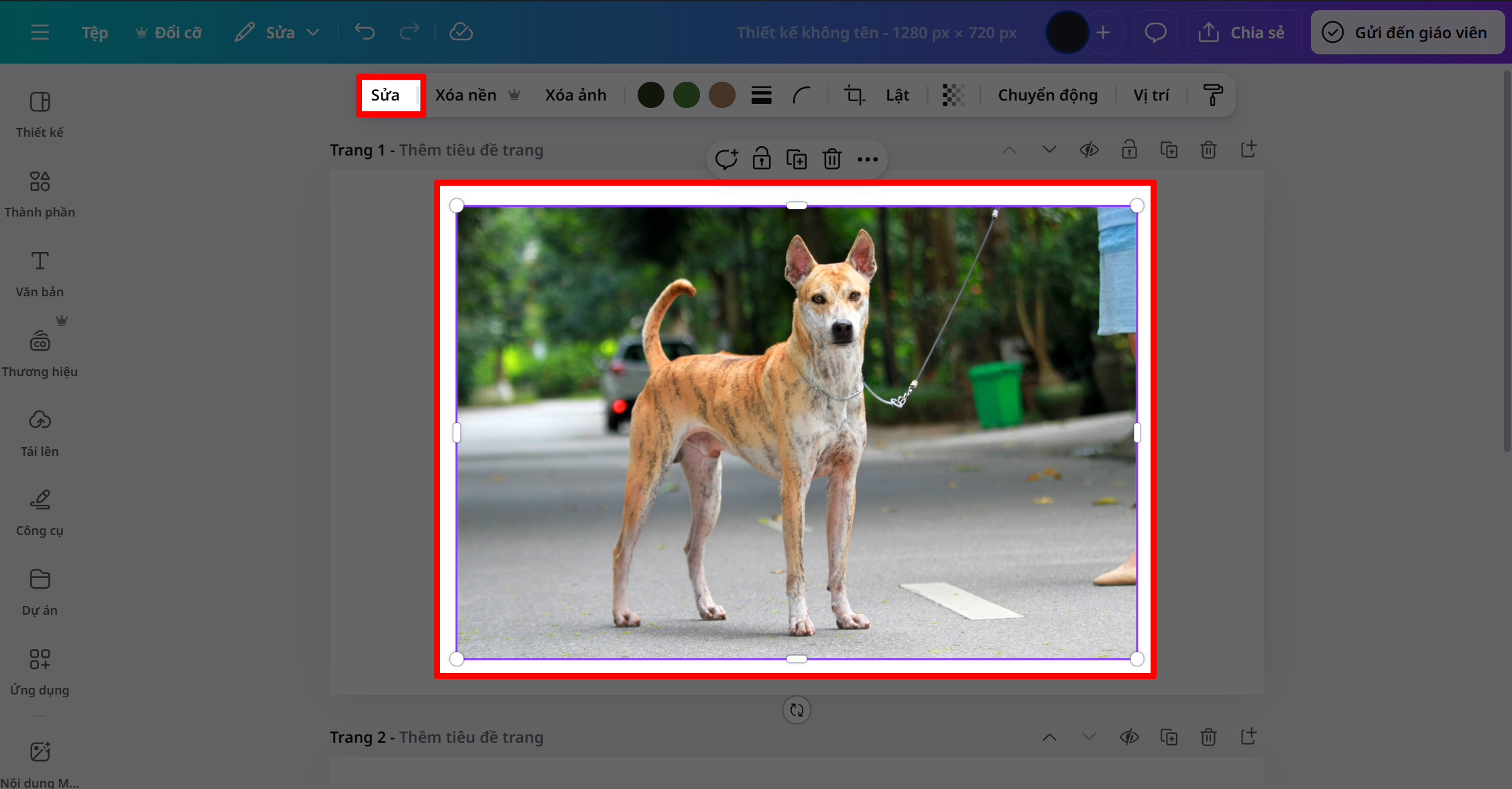Cách Chuyển Ảnh Thành Video Ngắn Trên Canva