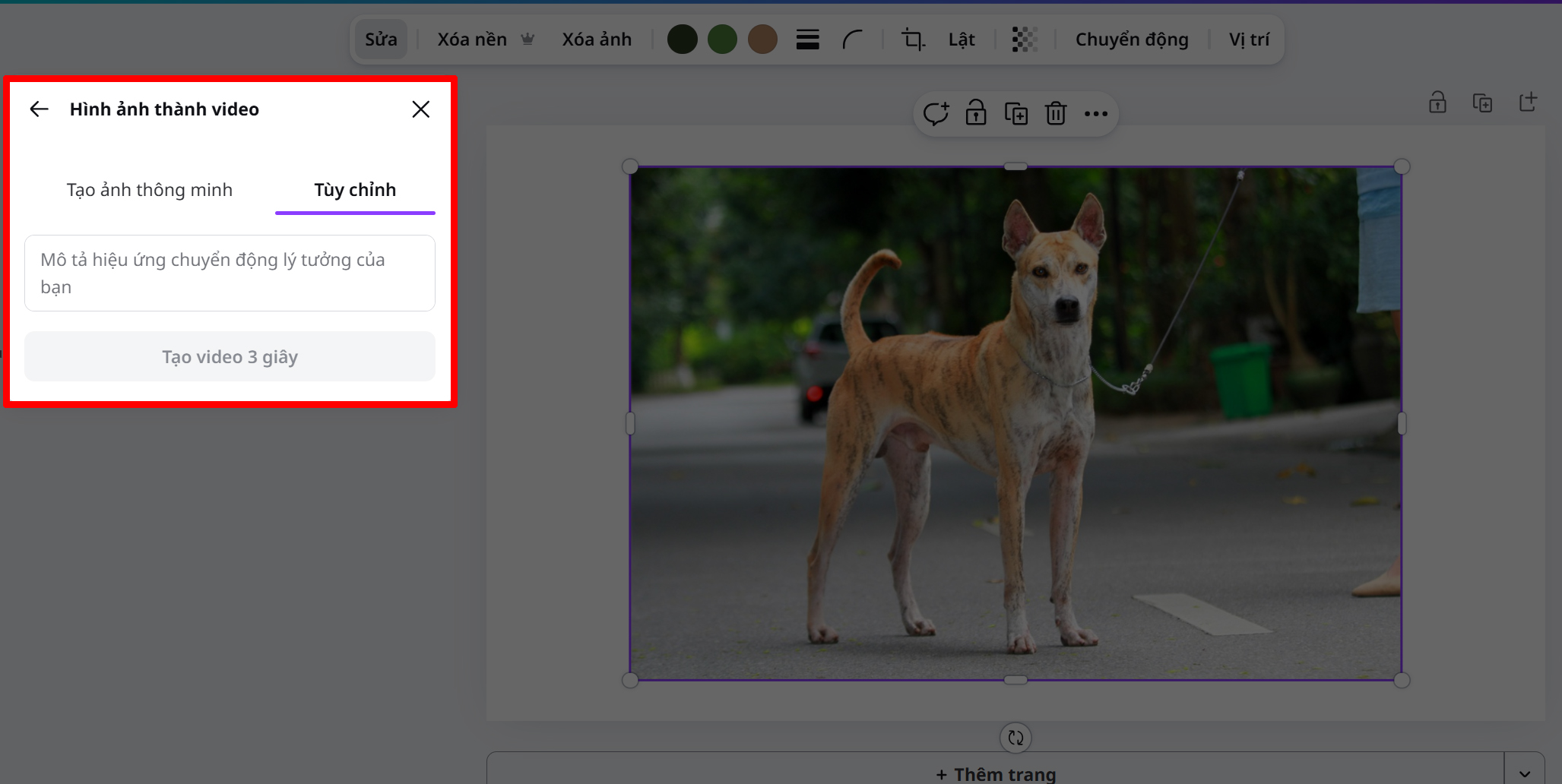 Cách Chuyển Ảnh Thành Video Ngắn Trên Canva