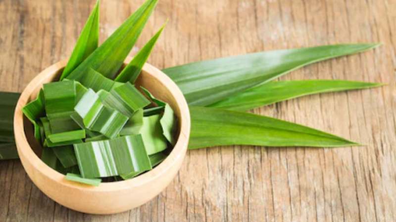 Lá dứa có tên khoa học Pandanus amaryllifolius, thuộc họ Dứa dại (Pandanaceae)