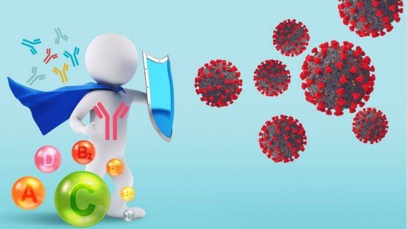 Polysaccharide, tinh dầu và flavonoid là các thành phần chính có tác dụng điều hòa miễn dịch 