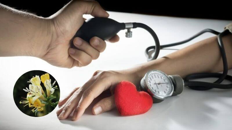 Kim ngân hoa có chứa quercetin - một flavonoid giúp điều hòa huyết áp