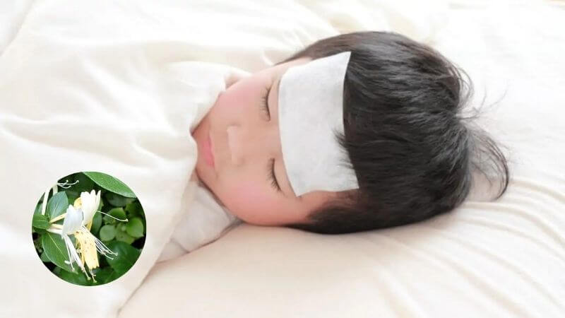 Kim ngân hoa có tác dụng hạ sốt, có khả năng chống lại tổn thương do các gốc tự do và tăng cường miễn dịch