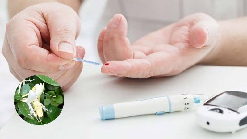 Kim ngân hoa hỗ trợ điều trị tiểu đường bằng cách giảm đường huyết, giảm lipid máu và tăng khả năng chống oxy hóa