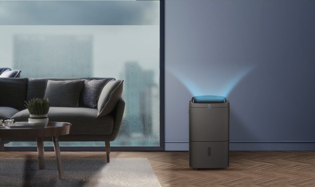 Làm sạch không gian sống