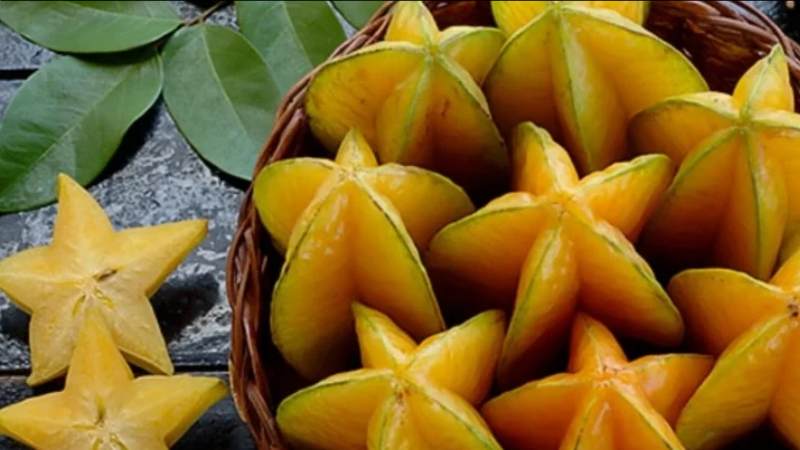 Quả khế đặc trưng bởi hình dáng có 5 múi vát nhọn, tạo thành hình ngôi sao khi cắt ngang