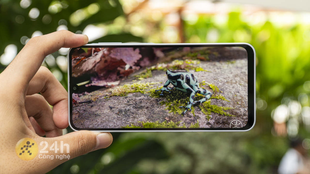 Galaxy A16 4G được trang bị màn hình lớn cùng chất lượng hiển thị tốt. Galaxy A16 4G được trang bị màn hình lớn cùng chất lượng hiển thị tốt.