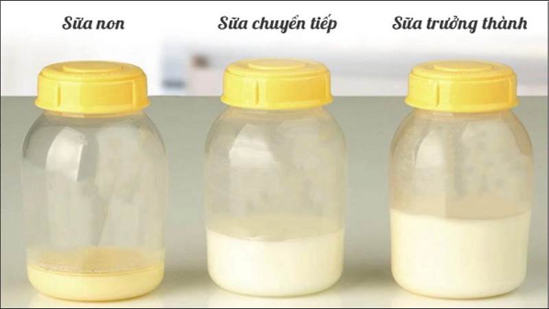 Sữa non là dòng sữa đầu tiên mà tuyến vú sản xuất trong thời kỳ mang thai