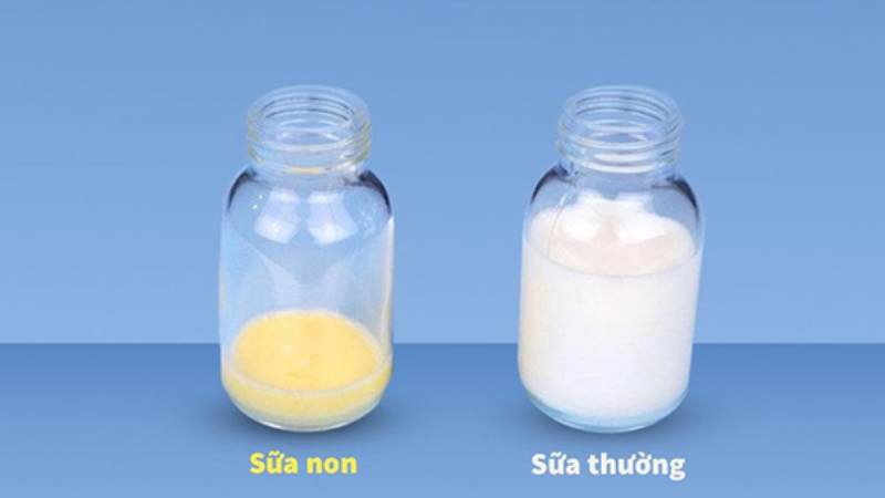 Sữa non thường có màu vàng hoặc cam đậm, gần giống lòng đỏ trứng