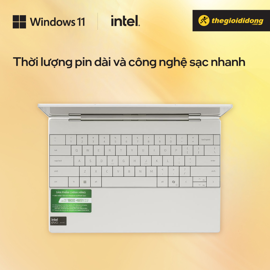 Pin và sạc