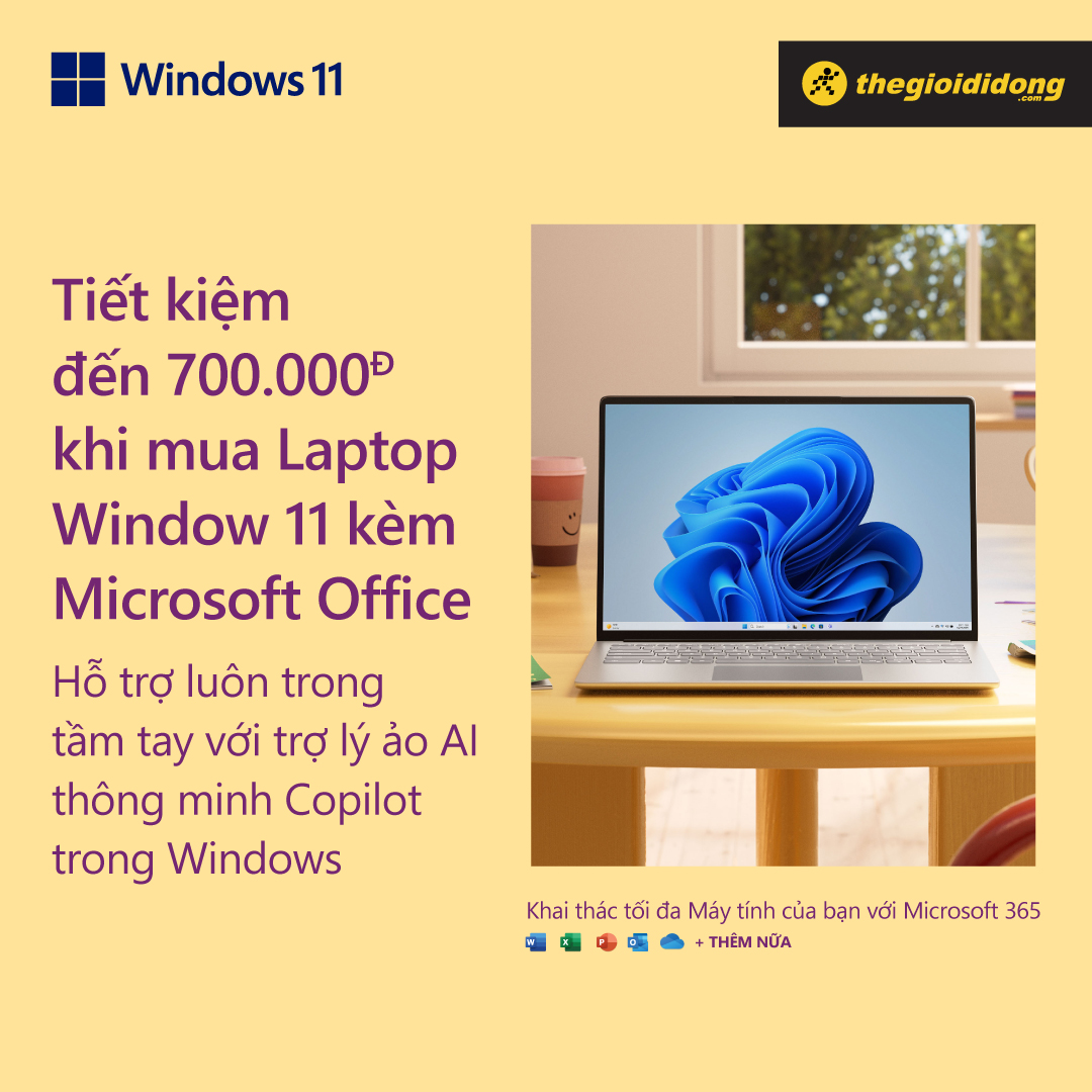 Windows 11