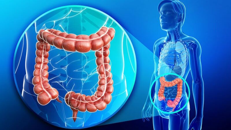Chiết xuất cây cứt quạ có tác dụng giải độc, thanh lọc cơ thể