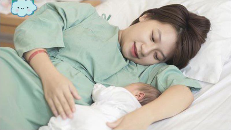 Cây cứt quạ giúp phụ nữ sau sinh phục hồi sức khỏe nhanh chóng hơn